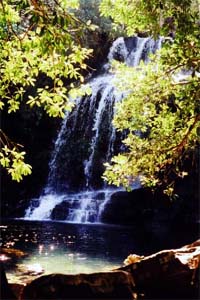 Cachoeira do Sonho - Delfinópolis
