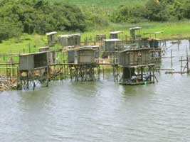 Abrigos de pescadores em Novo Horizonte