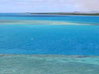 Barreiras de corais